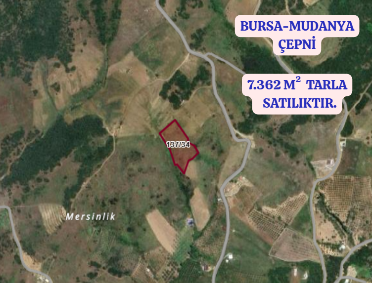 BURSA MUDANYA ÇEPNİ  KÖYÜNDE 7.362 M²  TARLA SATILIKTIR - BURSA MUDANYA fotoğraf 2
