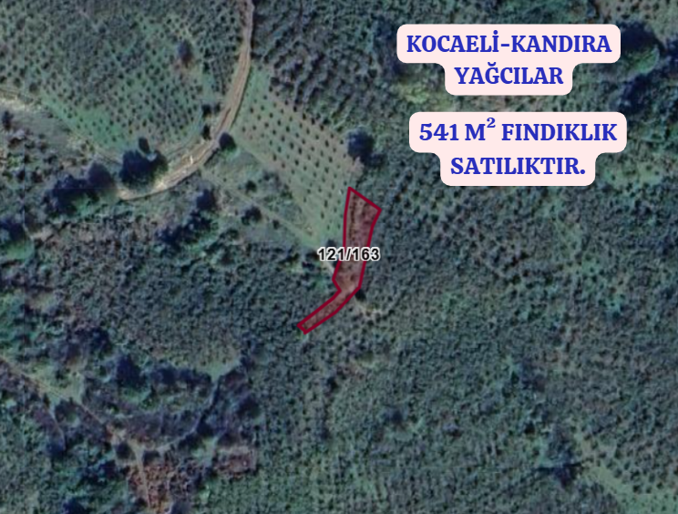KOCAELİ KANDIRA YAĞCILAR  KÖYÜNDE 541  M² FINDIKLIK  SATILIKTIR - KOCAELİ KANDIRA fotoğraf 2