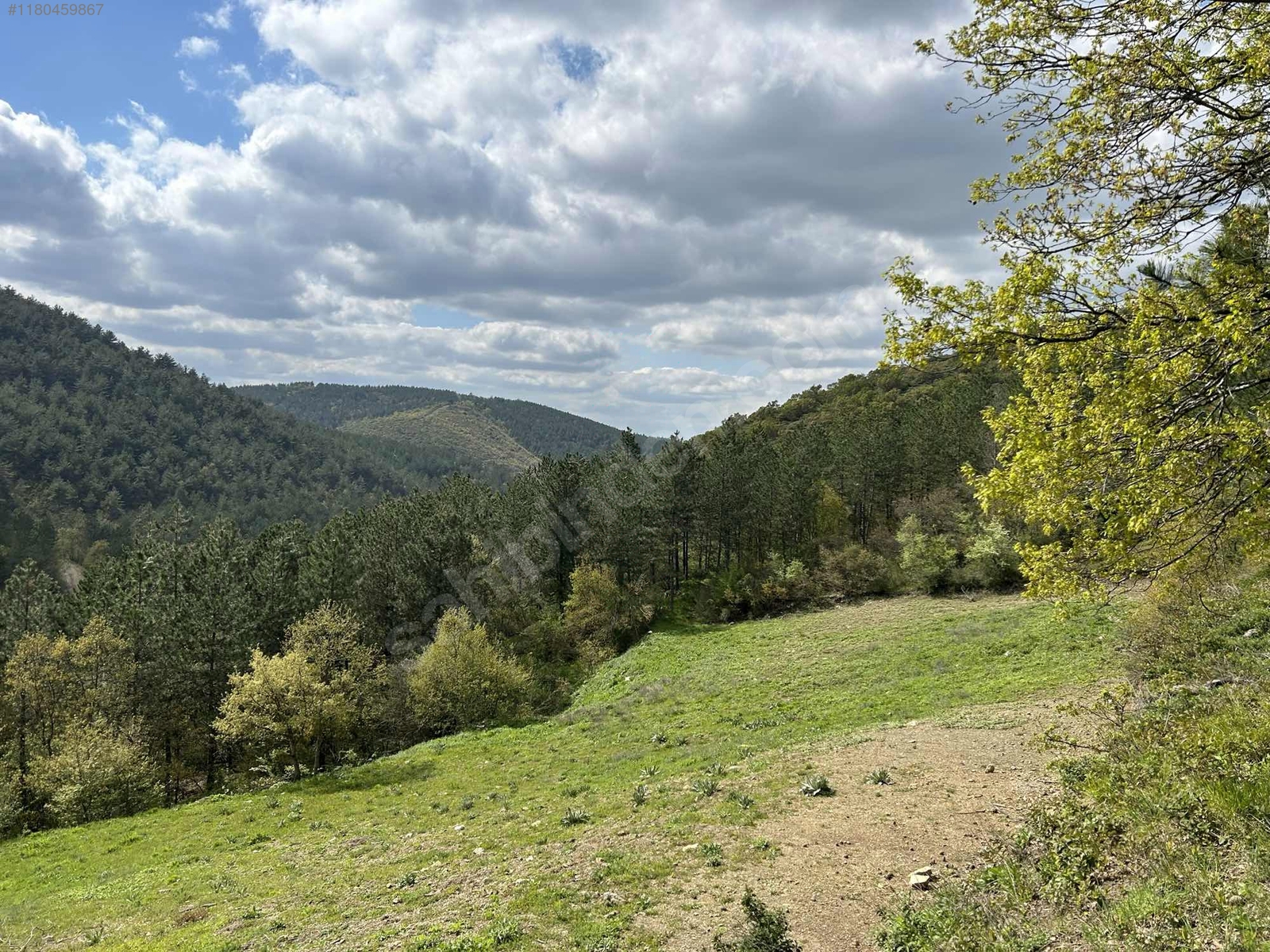 BURSA İZNİK GÜRMÜZLÜ  KÖYÜNDE 3.300 M² TARLA SATILIKTIR - BURSA İZNİK fotoğraf 9