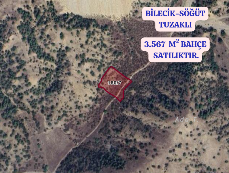 BİLECİK SÖĞÜT TUZAKLI   KÖYÜNDE 3.567 M²  BAHÇE  SATILIKTIR - BİLECİK SÖĞÜT fotoğraf 2