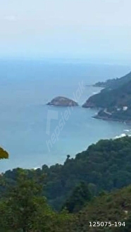 Perşembe caytepe mahallesi satılık imarlı fındık bahçesi - ORDU PERŞEMBE fotoğraf 2