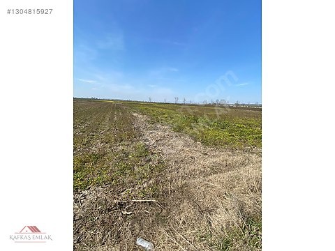 KAFKAS EMLAKTAN DEMİRELİ DE 5.600 M2 TARLA - BURSA MUSTAFAKEMALPAŞA fotoğraf 6