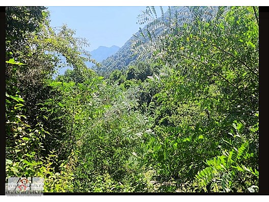 AYHAN HEPDİKER DEN GEYVE NURİOSMANİYEDE 18000 M2 HARİKA KONUMDA - SAKARYA GEYVE fotoğraf 9