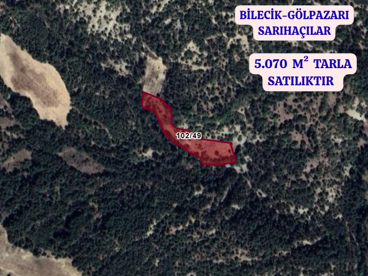 BİLECİK GÖLPAZARI SARIHAÇILAR  KÖYÜNDE  5.070 M²  TARLA  SATILIKTIR - BİLECİK GÖLPAZARI fotoğraf 2