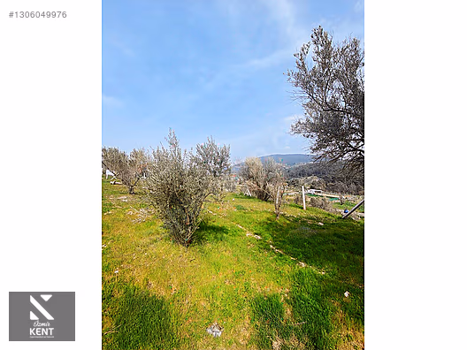 Bornova Yakaköy Manzaralı Satılık 450 m2 Bahçe - İZMİR BORNOVA fotoğraf 6