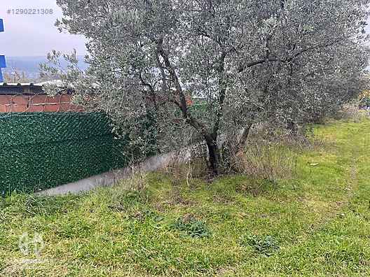 BÖLGE UZMANI HAS EMLAK DENİZ MANZARALI FIRSAT HOBİ BAHÇESİ - BURSA MUDANYA fotoğraf 27