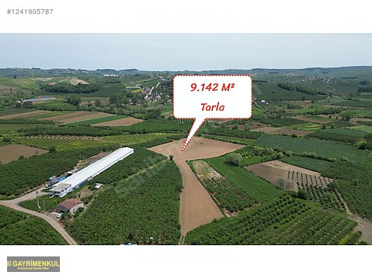 11.752 M² FIRSAT FINDIK BAHÇESİ SAKARYA KAYNARCA ZİAHMET MAH. - SAKARYA KAYNARCA fotoğraf 10