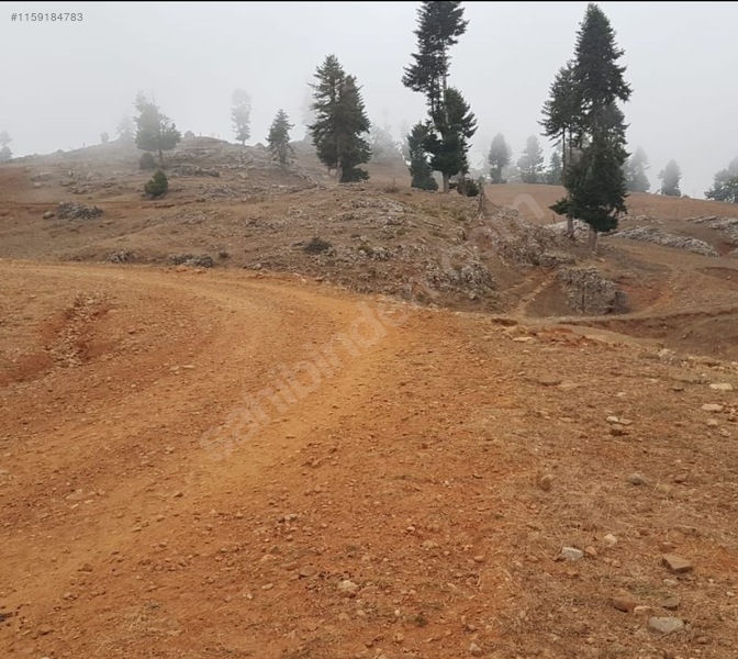 FEKE KOVUKÇINARDA YAYLALIK YATIRIMLIK ARAZİ 4510M² - ADANA FEKE fotoğraf 3