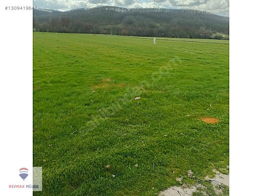 TEKİRDAĞ SARAY KÜÇÜKYONCALI MAH.7.766 M2 SATILIK TARLA - TEKİRDAĞ SARAY fotoğraf 2
