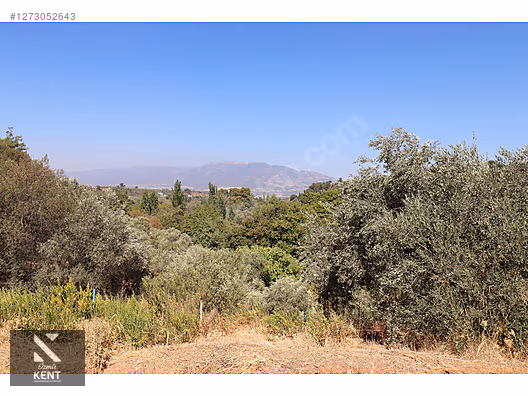 Kemalpaşa Aşağıkızılca Satılık 4536 m2 Bahçe - İZMİR KEMALPAŞA fotoğraf 37