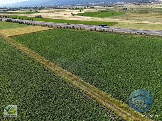 🚨 KÜTAHYA'DA ANAYOLA CEPHELİ 6.152 M² VERİMLİ TARLA 🚨 - KÜTAHYA MERKEZ fotoğraf 9