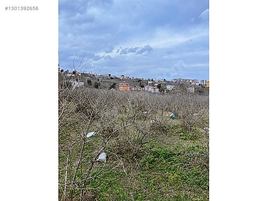 ESPİYE ÇAM MAHHALLESİ AYRIK NİZAM 7 KAT İMARLI FIRSAT ARSALAR - GİRESUN ESPİYE fotoğraf 14