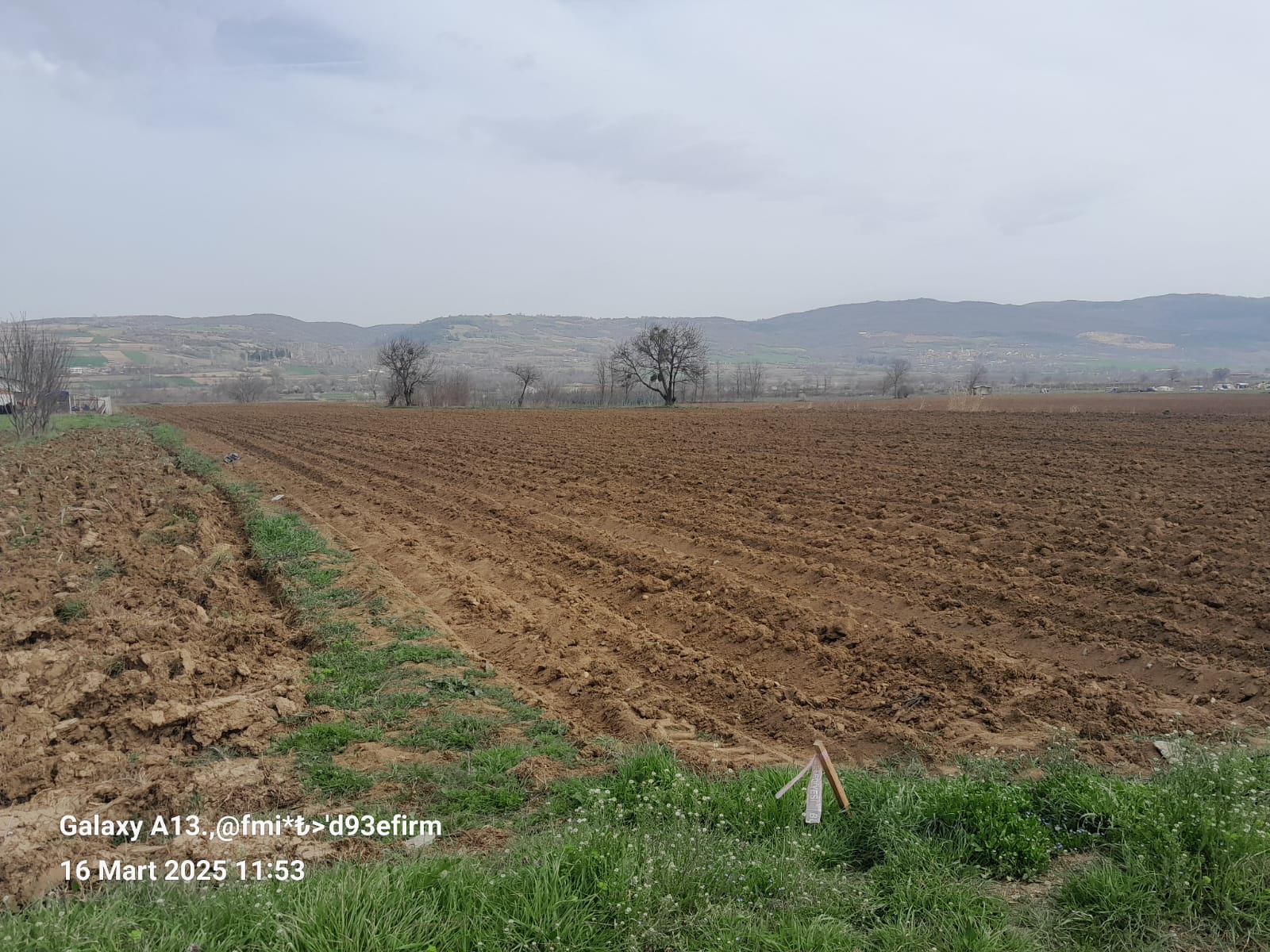 BURSA İNEGÖL HASANPAŞA SATILIK TARLA 9100m² - BURSA İNEGÖL fotoğraf 4