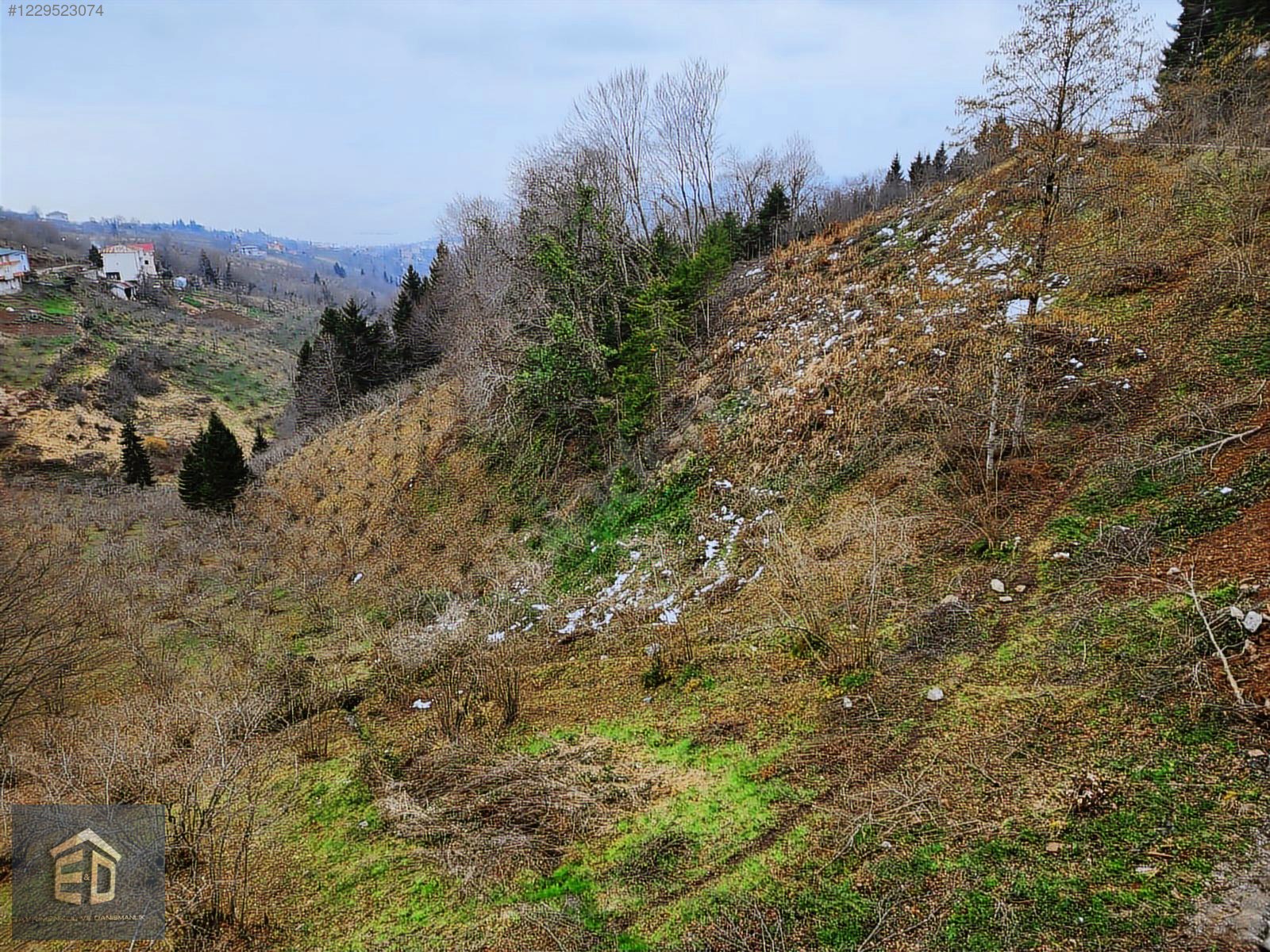 E&D GYO'DAN TRABZON KAVALA'DA SATILIK 1050 M² MANZARALI ARSA - TRABZON ORTAHİSAR fotoğraf 13