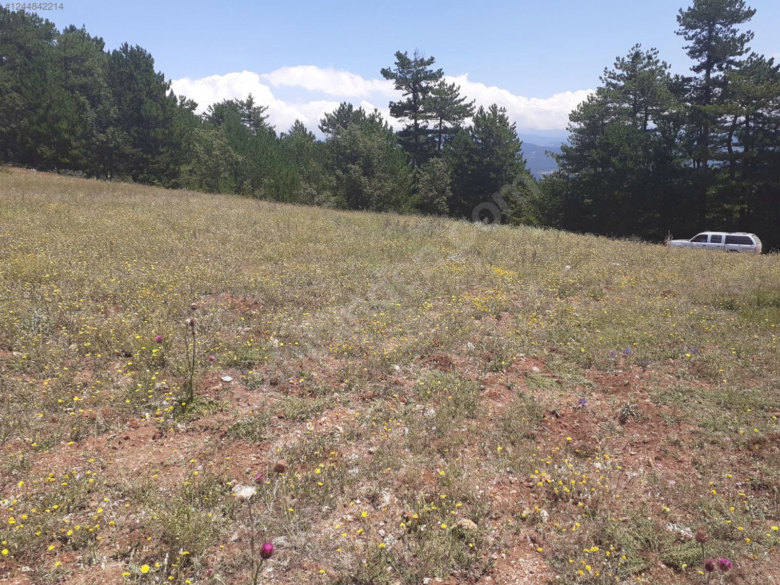 BURSA KELEŞ YUNUSLAR 6.251  M² TARLA SATILIKTIR. - BURSA KELES fotoğraf 7