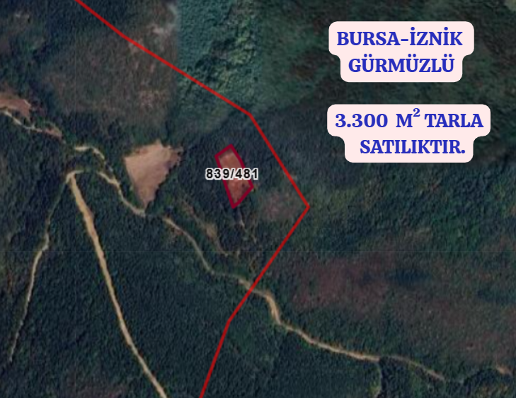 BURSA İZNİK GÜRMÜZLÜ  KÖYÜNDE 3.300 M² TARLA SATILIKTIR - BURSA İZNİK fotoğraf 2