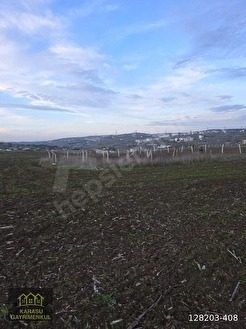 KIRKLARELİ MERKEZ KAPAKLI SÜPER KONUMDA 1231 M2 TARLA - KIRKLARELİ MERKEZ fotoğraf 11