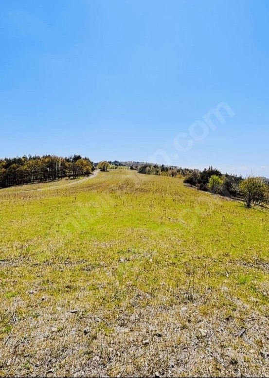BURSA İZNİK SANSARAK  8.660  M² TARLAMIZ SATILIKTIR - BURSA İZNİK fotoğraf 7