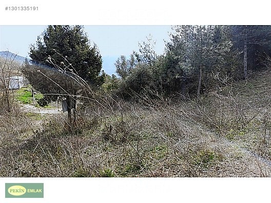 PEKİN EMLAK'tan PAMUKOVA Çileklide satılık - SAKARYA PAMUKOVA fotoğraf 13