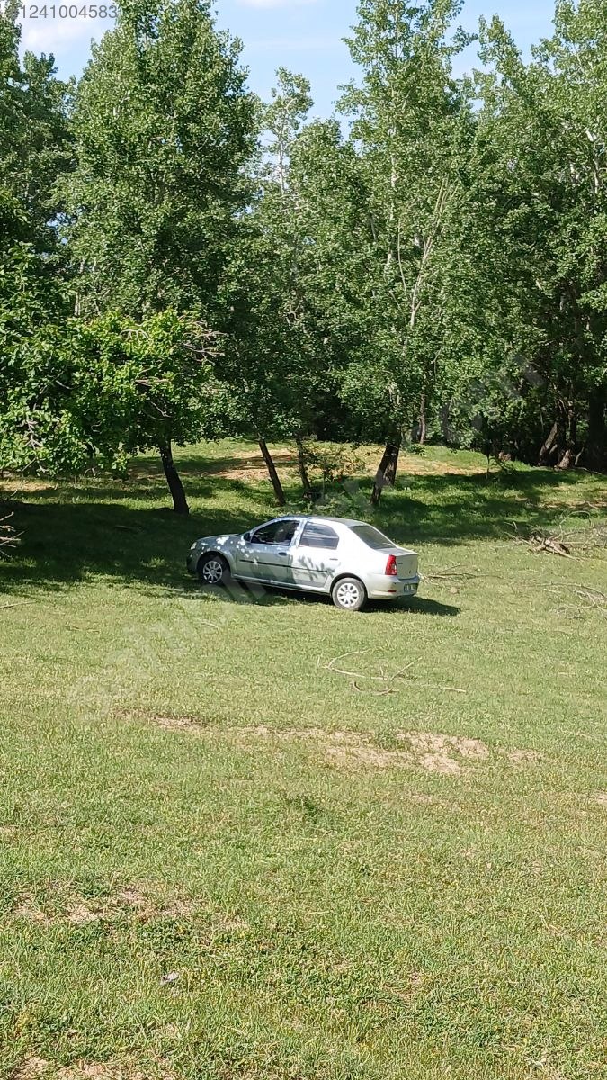 DENİZLİ BABADAĞ KELLECİ KÖYÜNDE  1.586 M²  BAĞ SATILIKTIR - DENİZLİ BABADAĞ fotoğraf 23