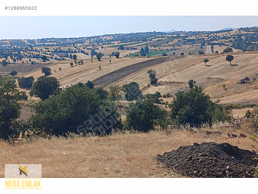 KÖY YERLEŞİMİN DİBİNDE TEKTAPU EV İÇİN TEMEL ATILMIŞ 5.735m2ARSA - MANİSA SELENDİ fotoğraf 2