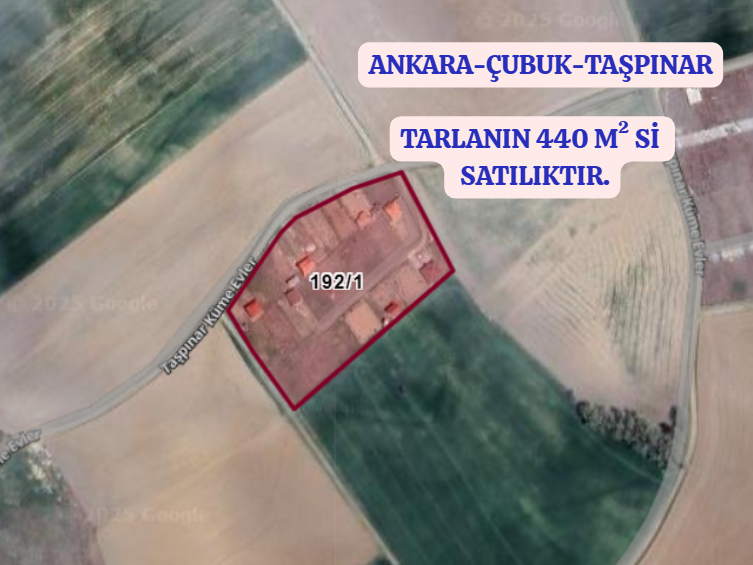 İlan Resmi