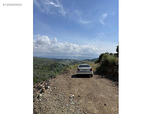 BURSA MUDANYA MİRZAOBA KÖYÜNDE 998 M²  ZEYTİNLİK SATILIKTIR - BURSA MUDANYA fotoğraf 7