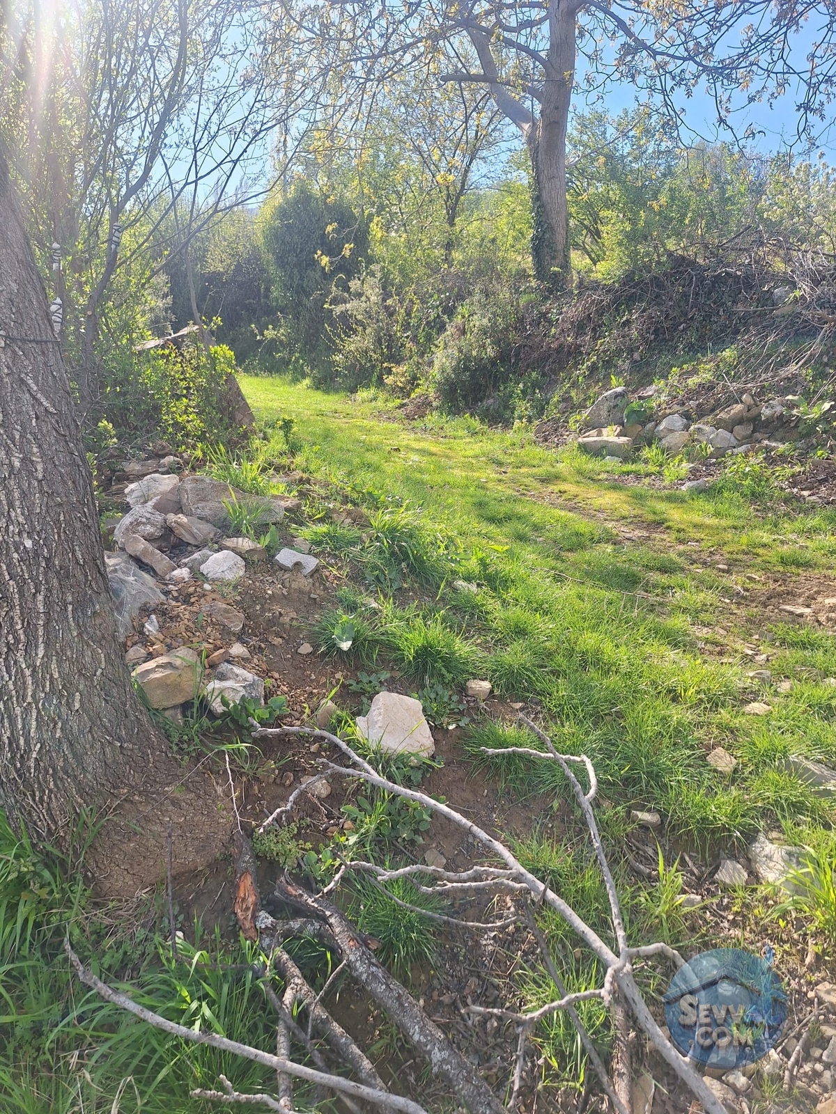 AĞLASUN KIRAÇ MAHALLESİNDE DOĞA İLE İÇ İÇE MUHTEŞEM ARAZİ - Burdur Ağlasun fotoğraf 35