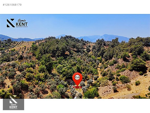 Kemalpaşa Yukarıkızılca Satılık 950 m2 Bahçe Tek Tapu - İZMİR KEMALPAŞA fotoğraf 50