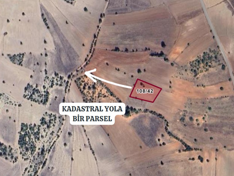 KÜTAHYA EMET AYDINCIK MEYDAN KÖYÜNDE 2610M² TARLAMIZ SATILIKTIR. - KÜTAHYA EMET fotoğraf 3
