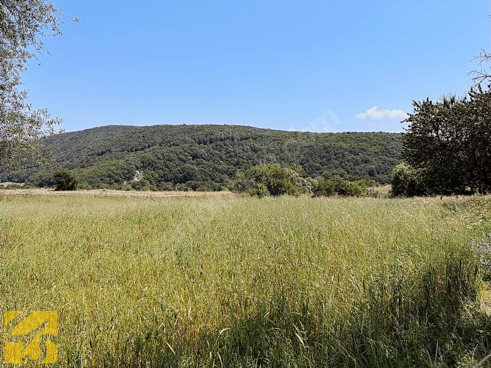 BOLU MERKEZ YUMURKAYA DA 2.900 METREKARE SATILIK TARLA - BOLU MERKEZ fotoğraf 25