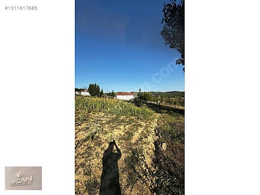 PİYASANIN ALTINDA UYGUN FİYATLI TARLA ACİL SATILIK - KOCAELİ KANDIRA fotoğraf 3