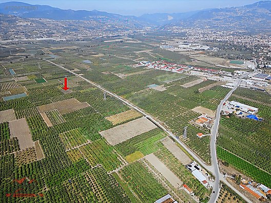 SAKARYA GEYVE UMURBEY MAH. 2444,26 M2 SATILIK TARLA - SAKARYA GEYVE fotoğraf 22