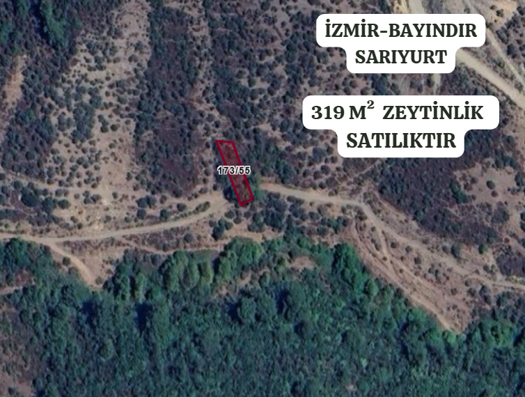 İZMİR BAYINDIR SARIYURT  KÖYÜNDE 319  M² ZEYTİNLİK  SATILIKTIR - İZMİR BAYINDIR fotoğraf 2