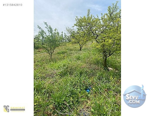 Bursa inegöl Akıncılar 200m² Hobi Bahçesi Aidatsız, Yolu su Var - BURSA İNEGÖL fotoğraf 8