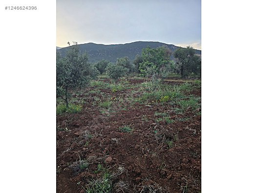 Hatay Hassa Aktepe küreci Mahallesi'nde satılık arsa bağ tek kapı - HATAY HASSA fotoğraf 8