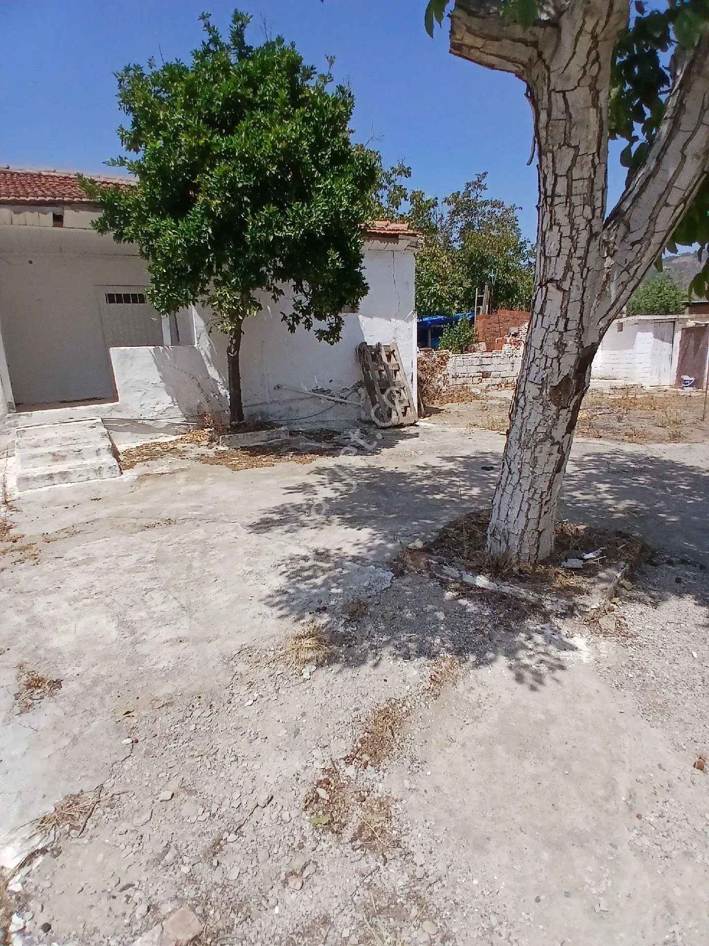 İzmir Bayındır Yakapınarda Taş Ev Satılık - İZMİR BAYINDIR fotoğraf 8