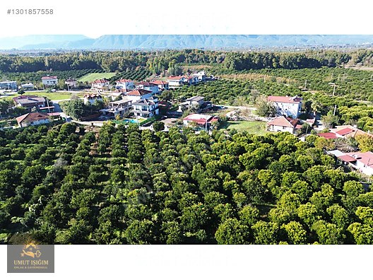 TOPARLARDA , YERLEŞİM ALANINDA SATILIK - MUĞLA KÖYCEĞİZ fotoğraf 12