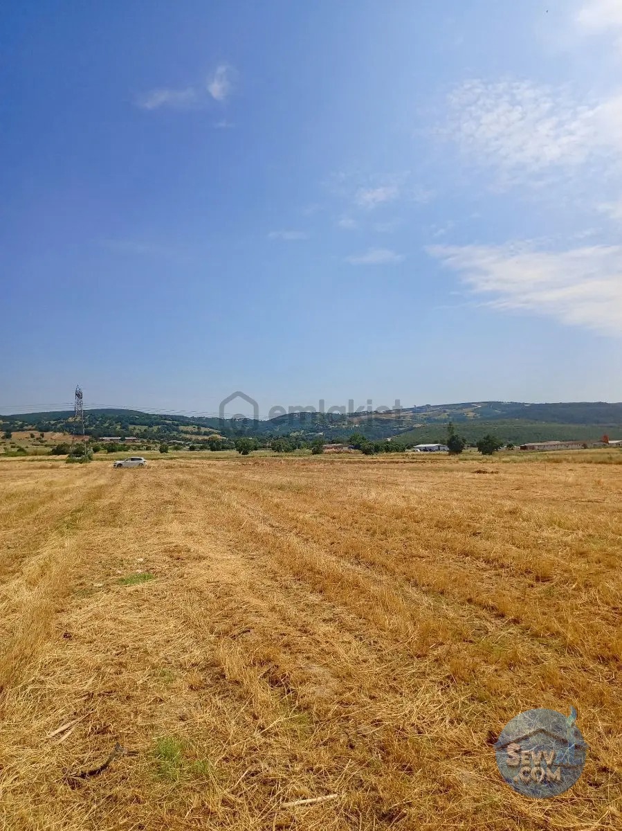 Gökçeyazı Da Kadastro Yolu Mevcut Tarla - BALIKESİR İVRİNDİ fotoğraf 23