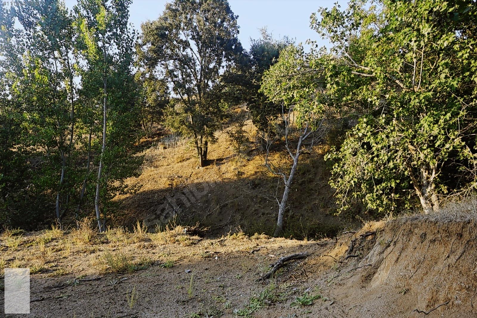ÇANAKKALE BAYRAMİÇ SERHAT KÖYÜ 592 m2 % 80 İMARLI ARSA - ÇANAKKALE BAYRAMİÇ fotoğraf 15
