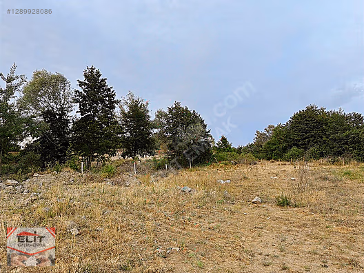 SAKARYA KARASU'DA SATILIK FRSAT KÖY İÇİNDE 635 metre² KUPON ARSA - SAKARYA KARASU fotoğraf 13