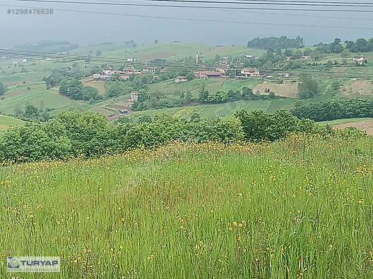 TURYAP KOZA'DAN SEVİNDİKLİ'DE SATILIK TARLA - KOCAELİ KÖRFEZ fotoğraf 15