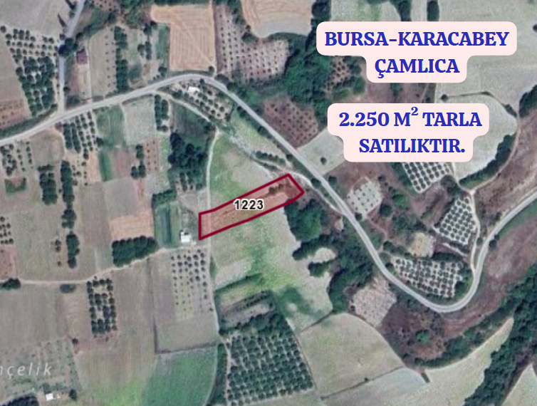 BURSA KARACABEY ÇAMLICA KÖYÜNDE 2.250  M² TARLA SATILIKTIR - BURSA KARACABEY fotoğraf 2