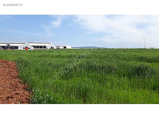 BURSA KARACABEY ARIZ KÖYÜNDE 14.250 M² TARLA SATILIKTIR - BURSA KARACABEY fotoğraf 4