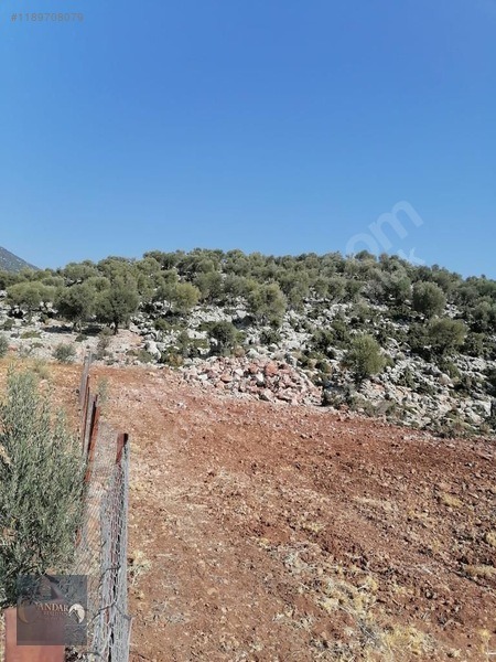 DÖŞEMEALTI AKKOÇTA TEK TAPULU 426 M² STRATEJİK YATIRIM ARAZİSİ - ANTALYA DÖŞEMEALTI fotoğraf 4