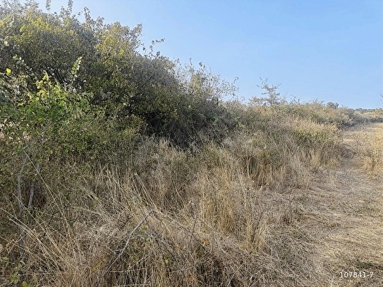 SÜLEYMANDANIŞMENT KÖYÜNDE 1326 M2 BAĞ TAPU YATIRIMLIK ARAZİ - EDİRNE LALAPAŞA fotoğraf 11