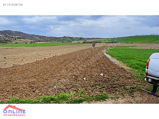 Araç Takaslı - BİLECİK YENİPAZAR fotoğraf 24