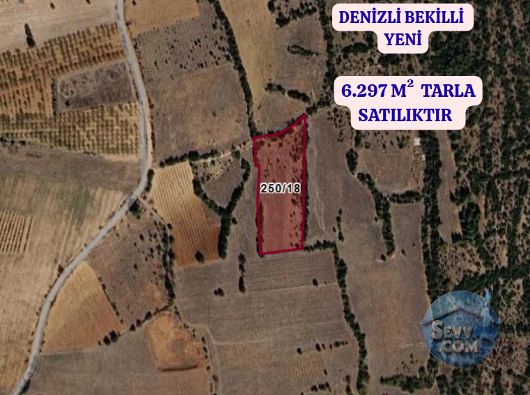 DENİZLİ BEKİLLİ YENİ  KÖYÜNDE  6.297 M²  TARLA SATILIKTIR - DENİZLİ BEKİLLİ fotoğraf 2