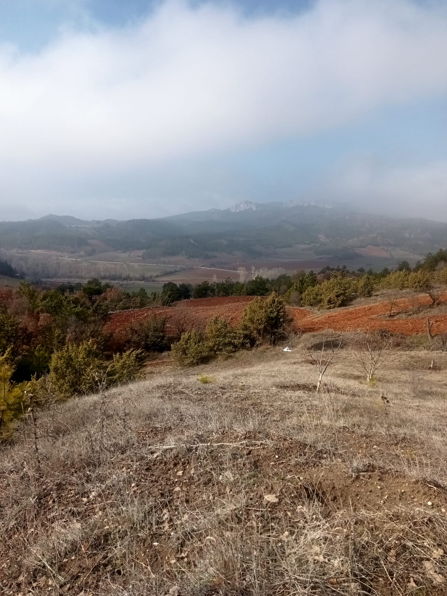 Sahibinden Meyve Bahçesi Yapmaya Uygun Tarla - BİLECİK YENİPAZAR fotoğraf 2