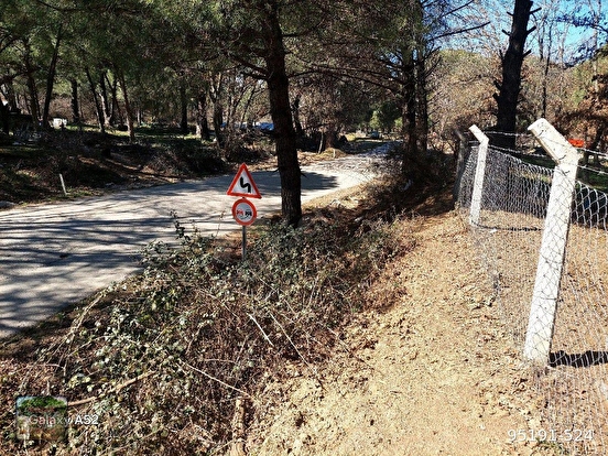 BERGAMA KOZAK YAYLASI YUKARIBEY MAH DE 950 m2 FISTIKLIK - İZMİR BERGAMA fotoğraf 7